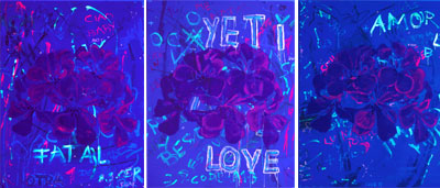 Das Urteil des Paris