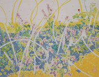 n�chstes Bild: Salbei