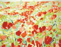 n�chstes Bild: Kleines Mohnfeld